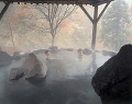 吾妻高泉温泉の露天風呂（福島県）