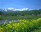 後立山（長野県小川村）