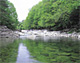 新緑の阿寺川（長野県大桑村）