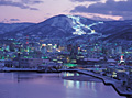 夜の小樽港と天狗山