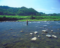 鮎釣り（大野川）