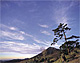 うろこ雲と男体山（野州林道/栃木県日光市）