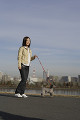 犬と散歩をする日本人女性