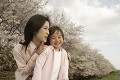 桜と母子