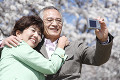 桜の前で写真を撮るシニアカップル
