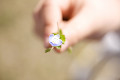 花を持つ女性の手