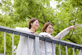 歩道橋から景色を眺める2人の女性
