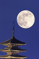 月と五重塔