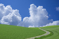 入道雲と草原の一本道