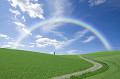 草原と虹と道