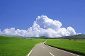 入道雲と草原の一本道