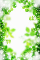 新緑