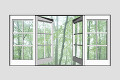窓から新緑のブナ林