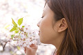 桜の香りをかぐ女性