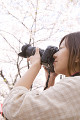 一眼レフカメラで桜を撮る女性