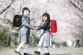 桜並木を歩く小学生男女