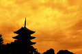 東寺