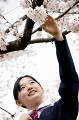 桜に触れる女子中学生