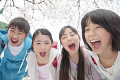 桜の下で笑う小学生4人