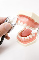 聴診器と歯の模型
