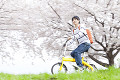 桜並木を自転車に乗って走る笑顔の男性