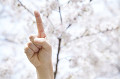 桜の下で指を指す男性の手元