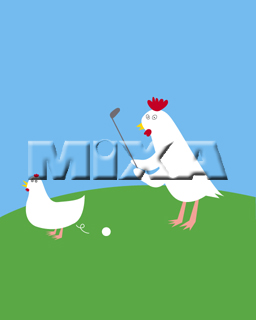 �S���t��