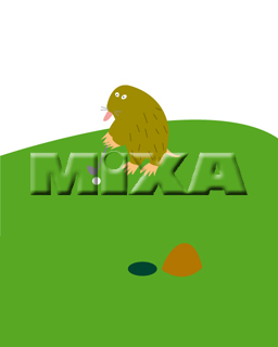 �S���t���Q