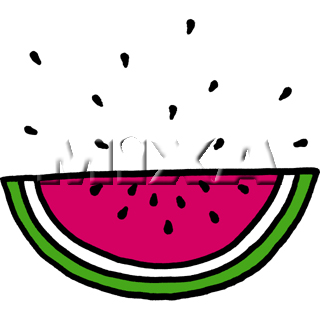 �� �X�C�J