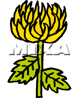�H �e
