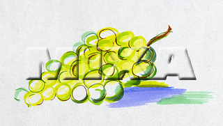 �H �}�X�J�b�g
