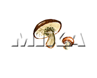 �H �}�b�V�����[��