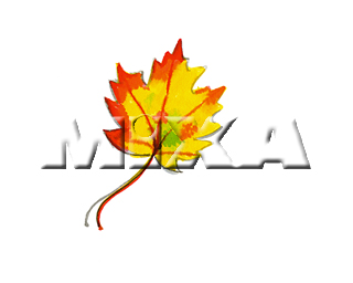�H �����t