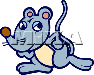 �q