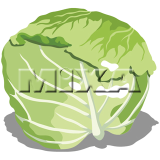�L���x�c