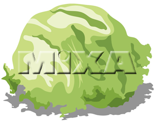 ���^�X