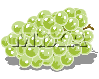 �}�X�J�b�g