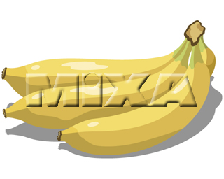 �o�i�i