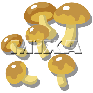 �Ȃ߂�