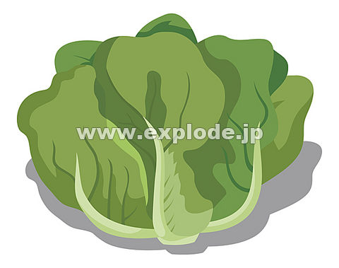 �T���_��