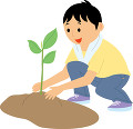 植樹ボランティアをする若い男性