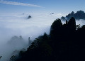 黄山　清涼台の雲海