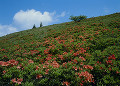 長野県　岡谷市　鉢伏山