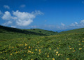 長野県　諏訪市　霧ヶ峰高原