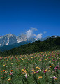 長野県　白馬村　白馬三山　北アルプス