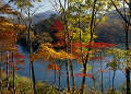 長野県　山ノ内町　志賀高原　琵琶池　紅葉