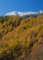 長野県　木曽町　開田高原　御嶽山　紅葉