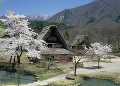 岐阜県　白川村　白川郷合掌造り集落　春