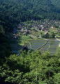 岐阜県　白川村　白川郷合掌造り集落　田