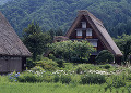 岐阜県　白川村　白川郷合掌造り集落　夏